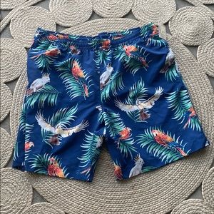 Caribbean Big Man Swim Trunks